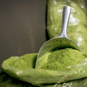 Close-up of fresh moringa powder in a stainless steel scoop, highlighting its vibrant green color.